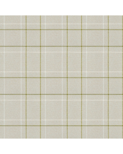 Hamilton Sage Fabric