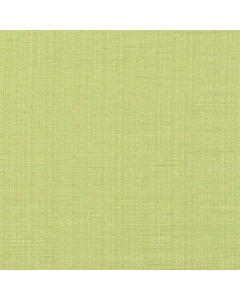 Rio Fabric, Lime