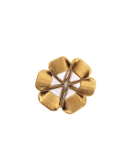 Florentine Small Rosette, Bronze