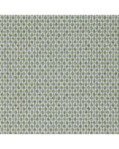 Harry Green Fabric