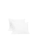 Micro Loft™ Cushions 30x41cm (12x16”) 2pk